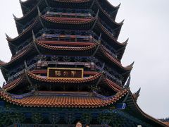 -铁山坪森林公园