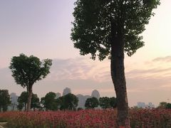 -汉江湾体育公园