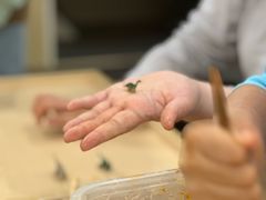 -FAIRYLAND龙族星球主题餐厅(凯丹广场店)