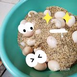 ️绝对是减脂解馋最佳首选