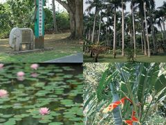 -中国科学院西双版纳热带植物园
