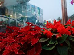 -壹海城ONE MALL