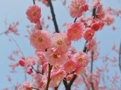 -西北湖绿化广场