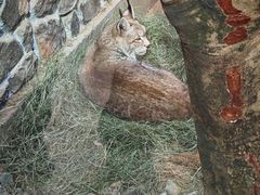 -青藏高原野生动物园
