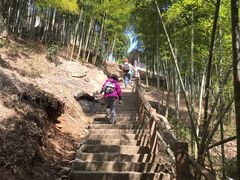 景点-藏龙百瀑风景区