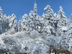 -瓦屋山景区