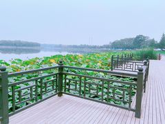 -素心小筑(后沙裕镇店)