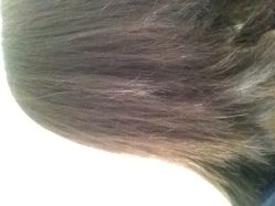 iphone_upload_pic-尚·丹尼Hair
