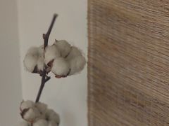 -灶咖KITCHEN