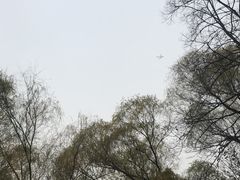 -仁和公园(顺义区)