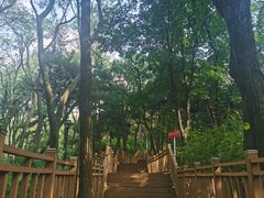 -鲁山国家森林公园