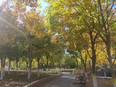 -大兴滨河森林公园