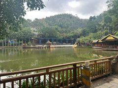 -西双版纳原始森林公园