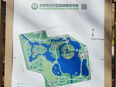 -大兴滨河森林公园