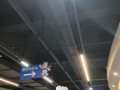 -世界之窗阿尔卑斯冰雪世界