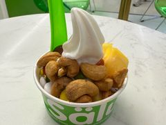 -Salud撒露欧洲冻酸奶(五道口购物中心店)