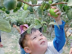 -广东花都香草世界旅游度假区