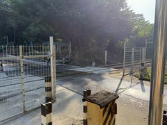 -深圳野生动物园