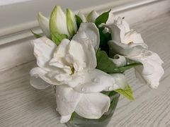 -芜湖白金汉爵大酒店