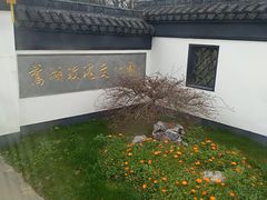 -鹅湖玫瑰文化园