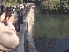 -九龙潭景区