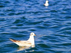 -丽江泸沽湖景区