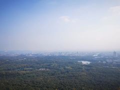-紫金山天文台