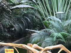 -龙达温泉生态城