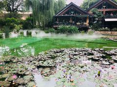 -静安公园(静安寺街道)