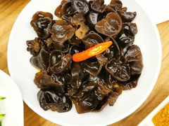 捞汁木耳-九十九顶毡房(阜石路店)