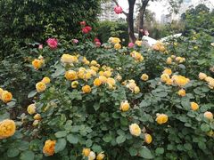 -人民公园(罗湖区)