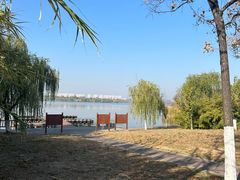 -九里湖国家湿地公园