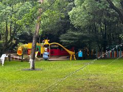 -天目湖御水温泉·度假酒店