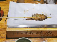 -小杨烤肉(朱雀店)