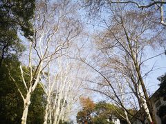 -武汉大学-樱园