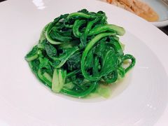 茼蒿-欣悦府(城建大厦C座店)