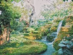 -Chom Cafe and Restaurant