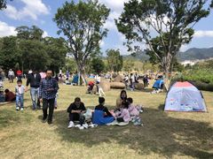 -牛岗山公园