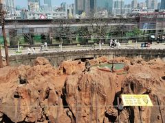 -昆明动物园