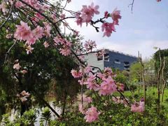 -广东工业大学(大学城校区)
