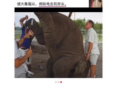 -昆明动物园