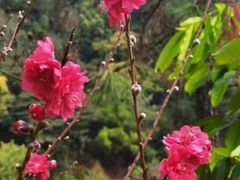 -白水带风景区体育公园