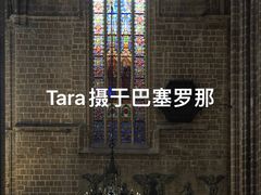 -巴塞罗那主教座堂