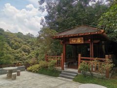 -广州白江湖森林公园