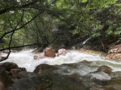 -祁门牯牛降观音堂风景区