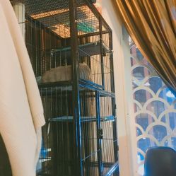 -飛凡TATTOO纹身•原创