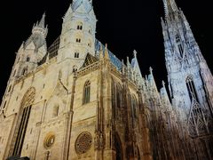 -斯蒂芬主教座堂(Stephansdom)