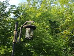 -杭州城北体育公园