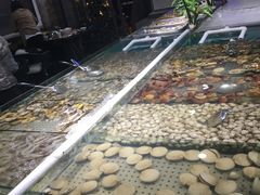 -一号码头蒸汽海鲜自助