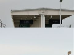 -新疆国际大巴扎